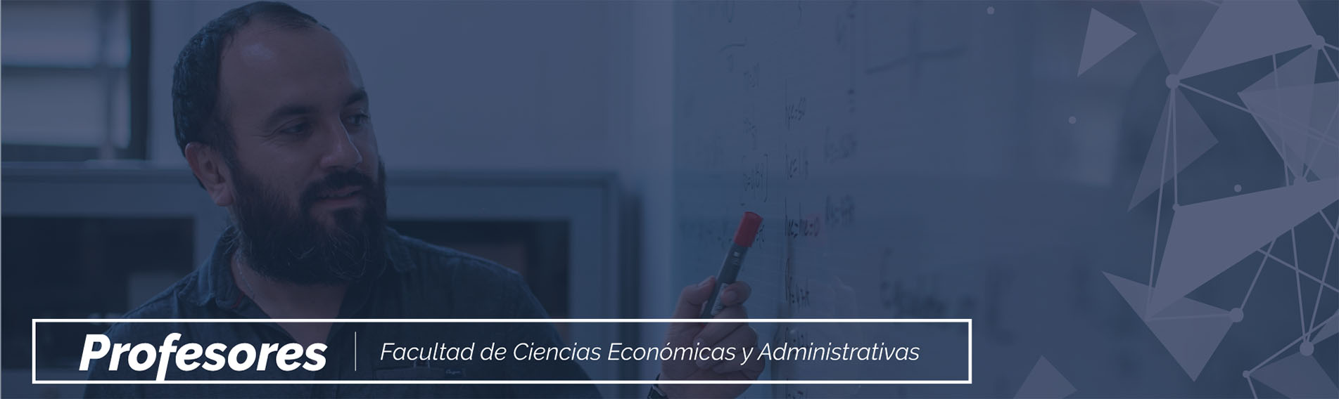 Imagen de cabecera para el sitio web de profesores de la Facultad de Ciencias Económicas y Administrativas